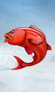 Ice Fishing